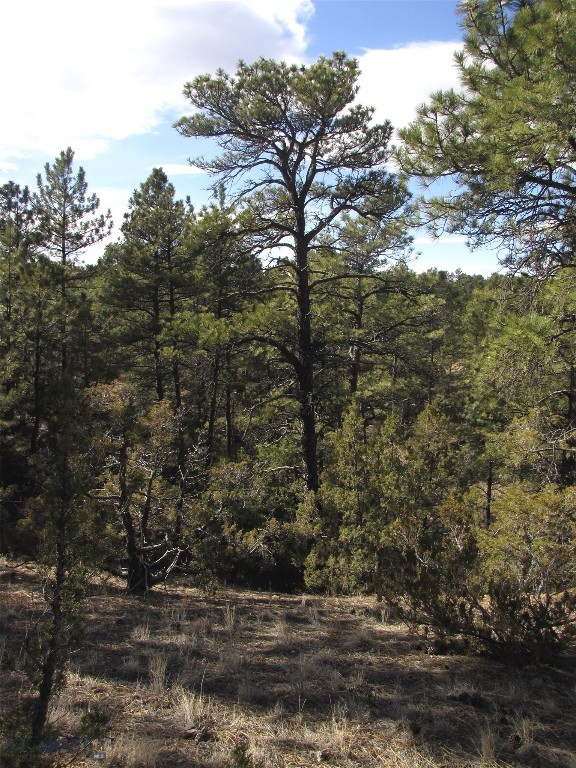 4829 Moon Creek Road, MT 59301