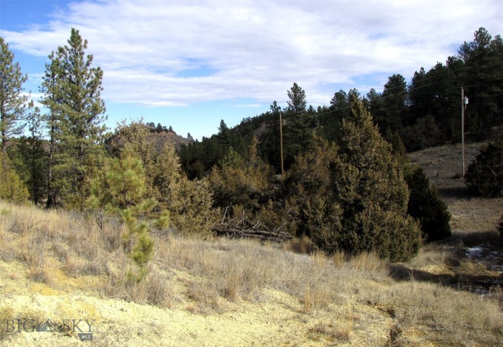 4829 Moon Creek Road, MT 59301