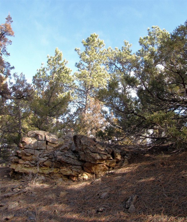 4829 Moon Creek Road, MT 59301