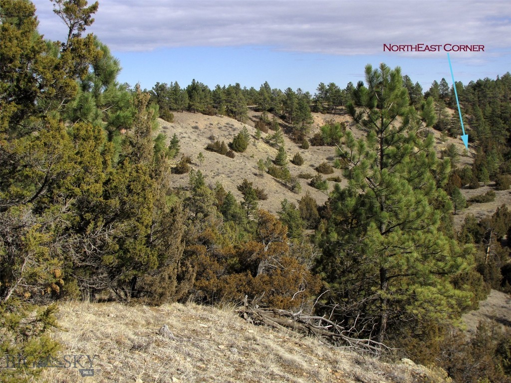 4829 Moon Creek Road, MT 59301