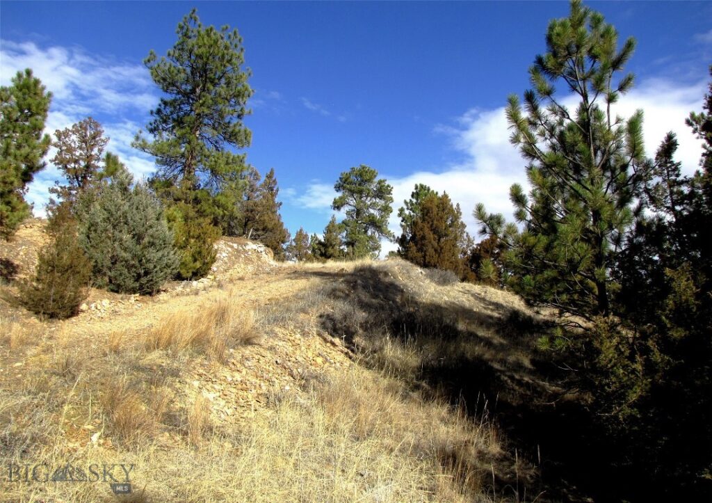 4829 Moon Creek Road, MT 59301