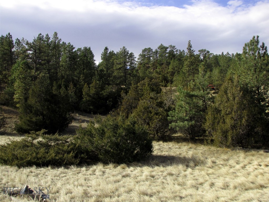 4829 Moon Creek Road, MT 59301