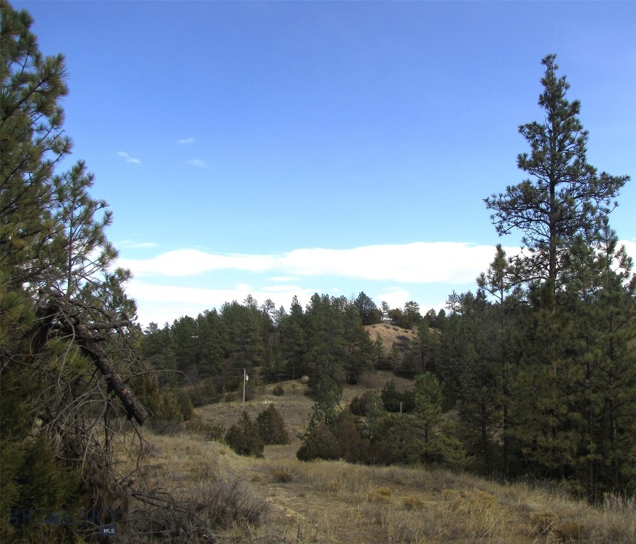 4829 Moon Creek Road, MT 59301