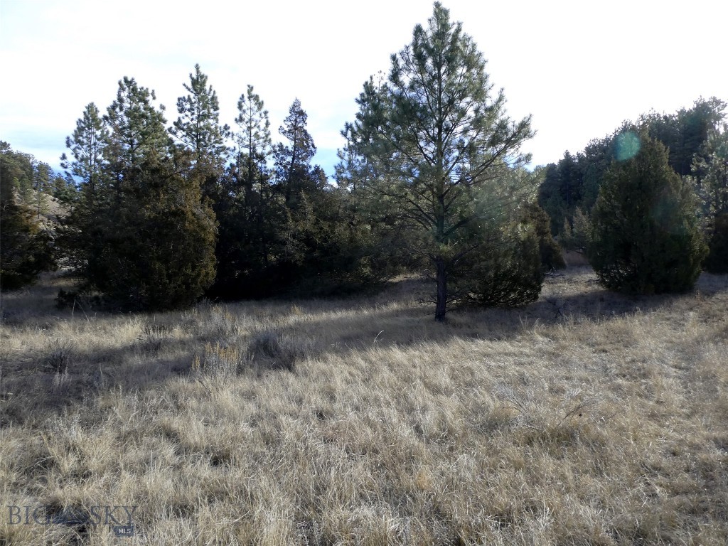 4829 Moon Creek Road, MT 59301