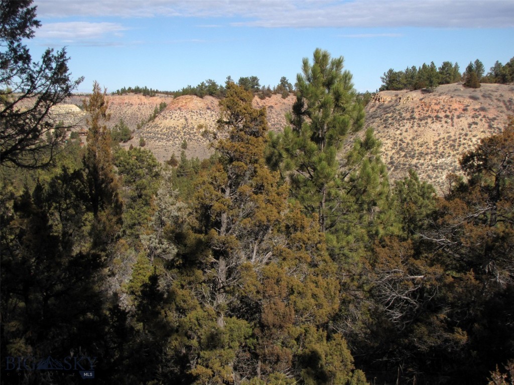 4829 Moon Creek Road, MT 59301