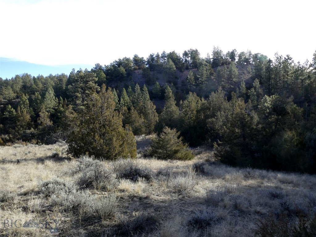 4829 Moon Creek Road, MT 59301