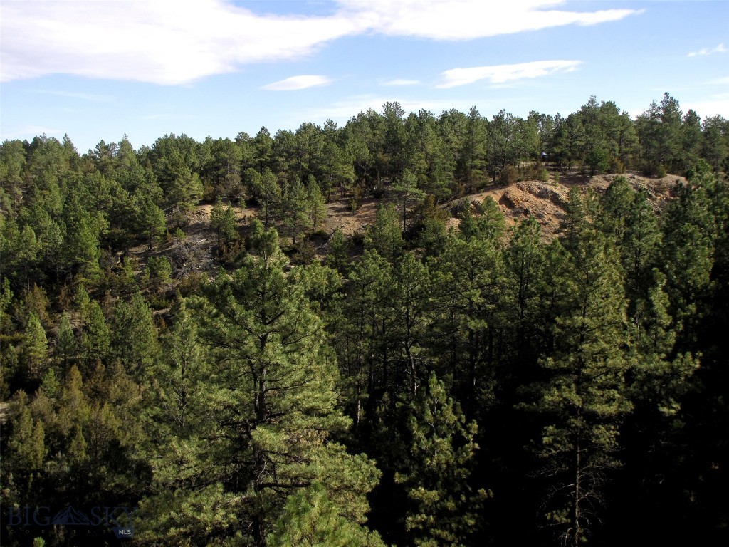 4829 Moon Creek Road, MT 59301