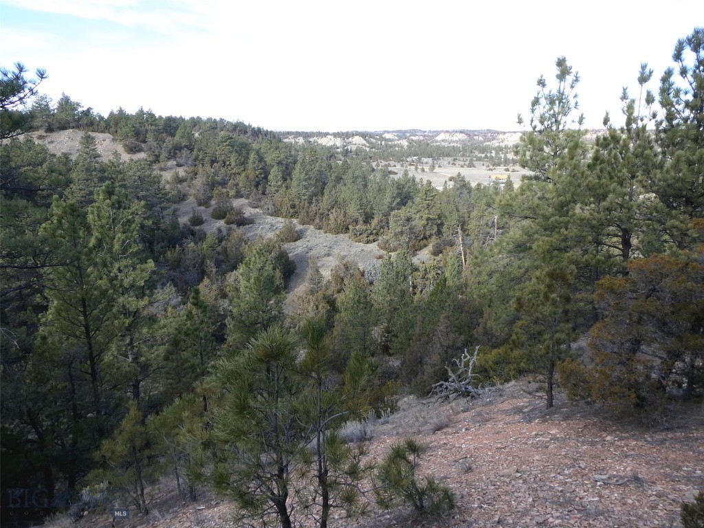 4829 Moon Creek Road, MT 59301