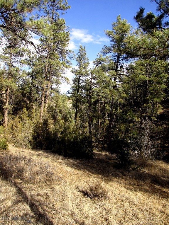 4829 Moon Creek Road, MT 59301