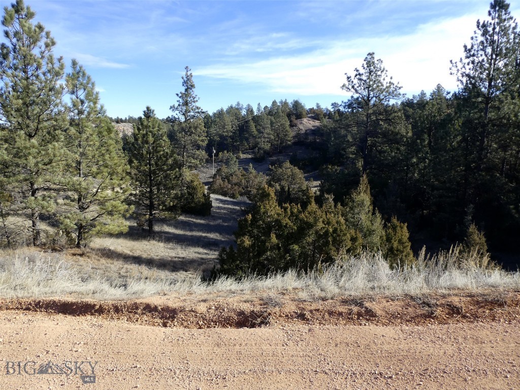 4829 Moon Creek Road, MT 59301