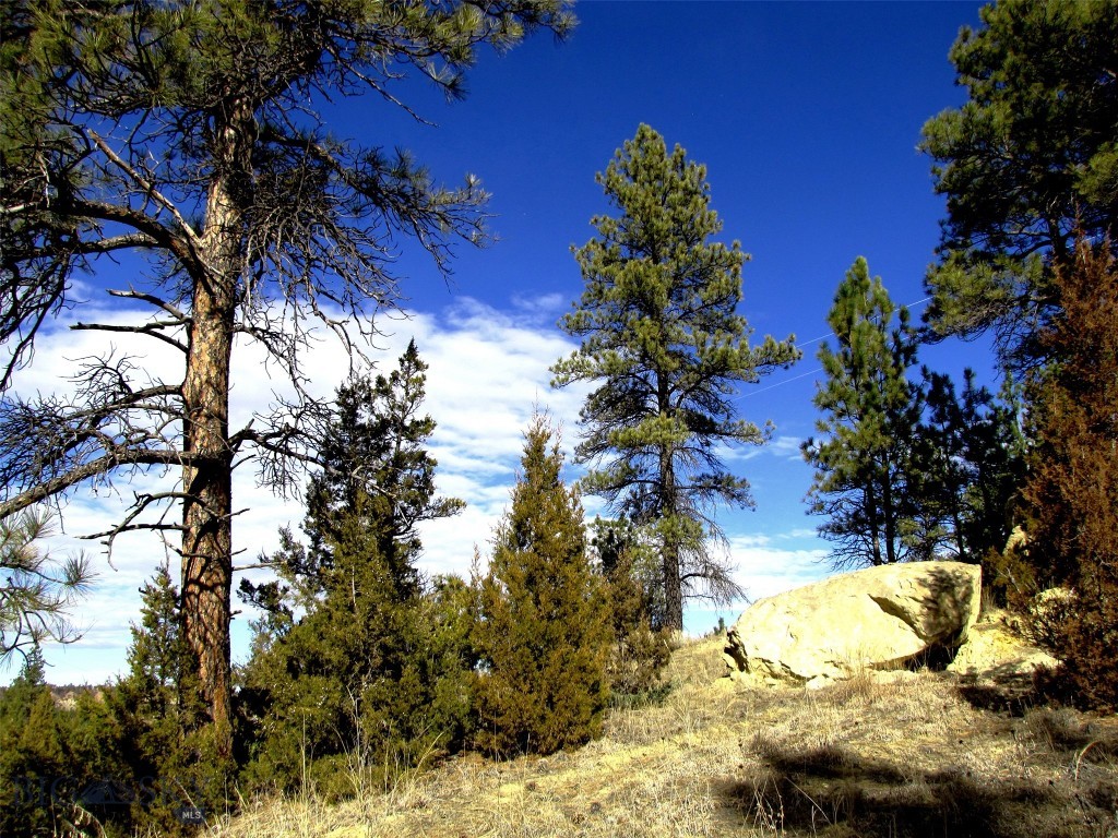 4829 Moon Creek Road, MT 59301