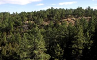 4829 Moon Creek Road,  MT 59301