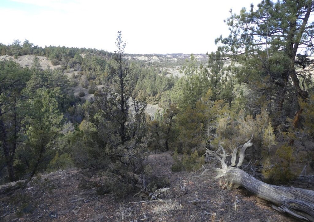 4829 Moon Creek Road, MT 59301