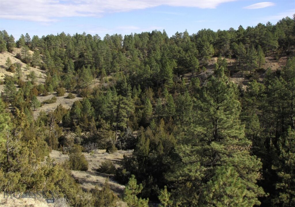 4829 Moon Creek Road, MT 59301