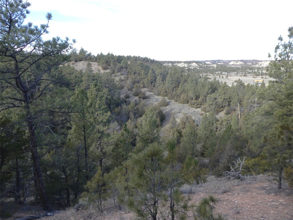 4829 Moon Creek Road, MT 59301