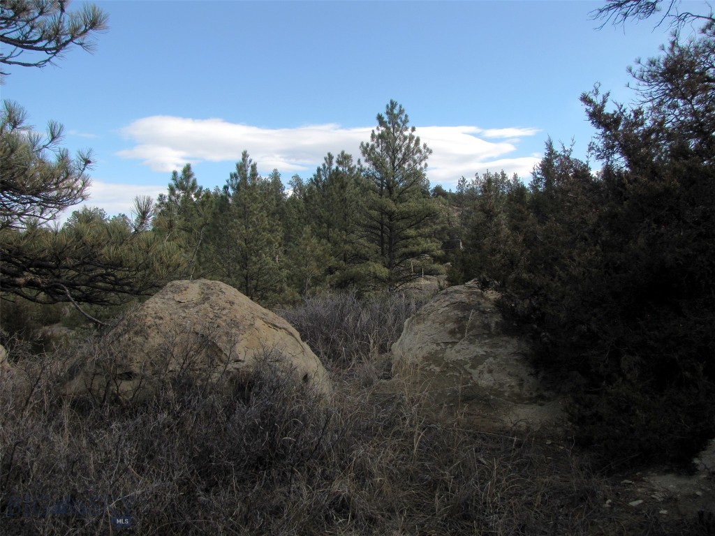 4829 Moon Creek Road, MT 59301