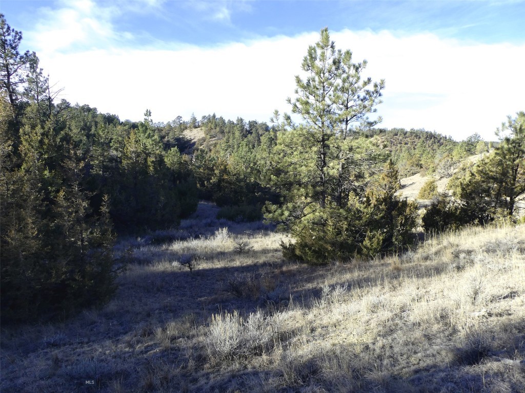 4829 Moon Creek Road, MT 59301