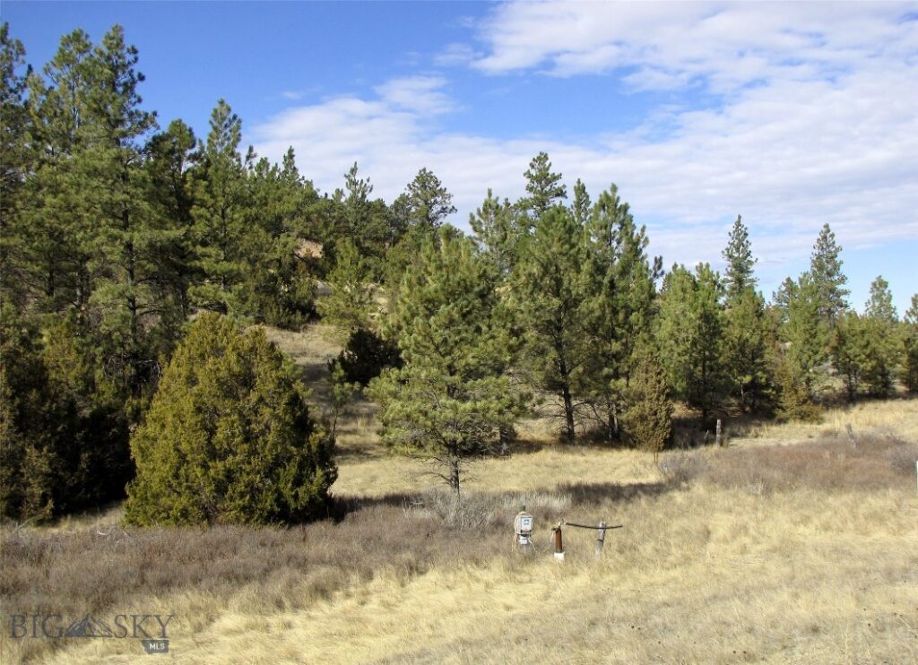 4829 Moon Creek Road, MT 59301