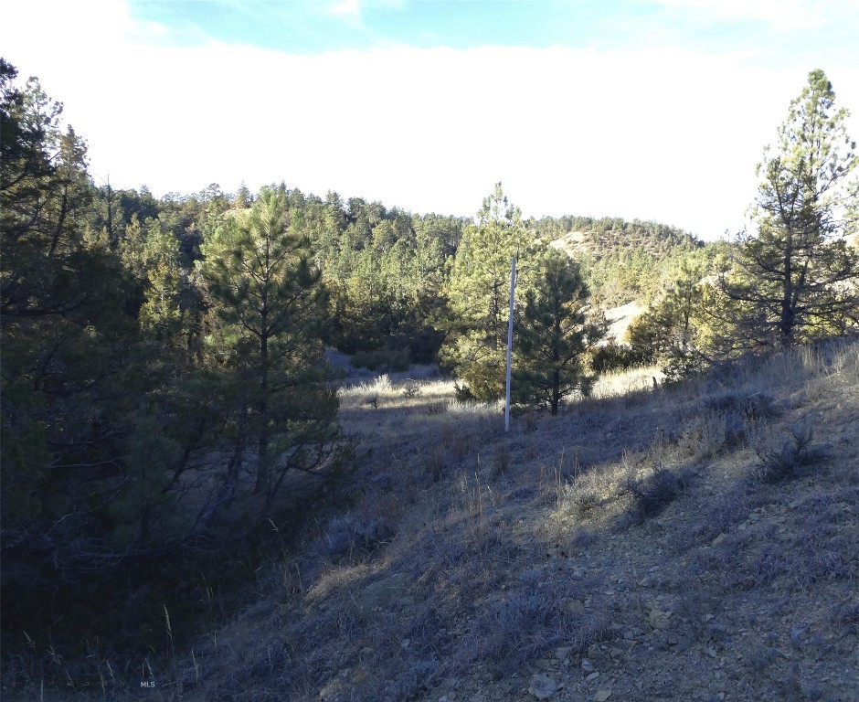 4829 Moon Creek Road, MT 59301