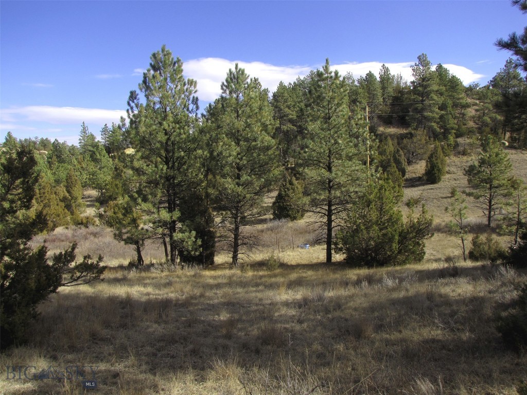 4829 Moon Creek Road, MT 59301