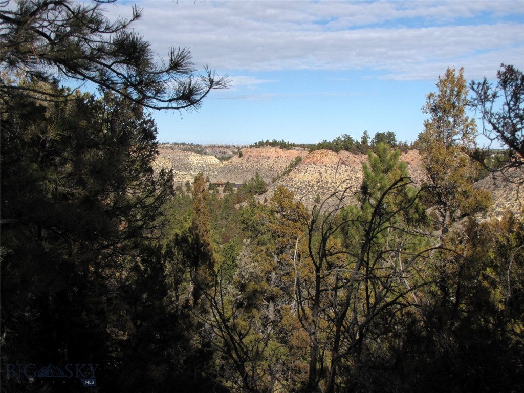 4829 Moon Creek Road, MT 59301