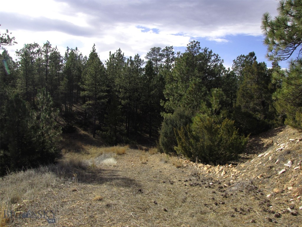 4829 Moon Creek Road, MT 59301