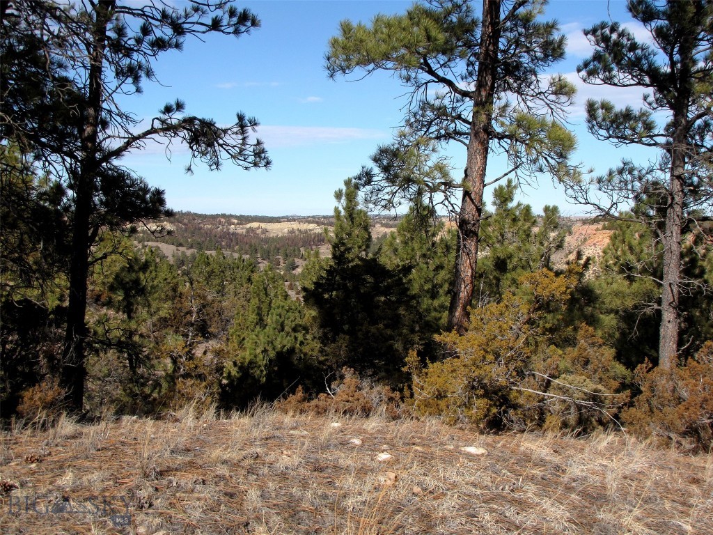 4829 Moon Creek Road, MT 59301