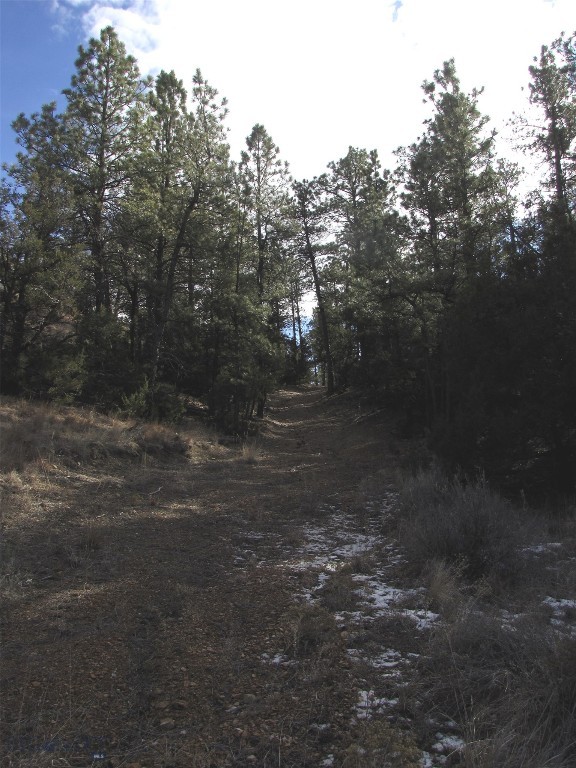 4829 Moon Creek Road, MT 59301