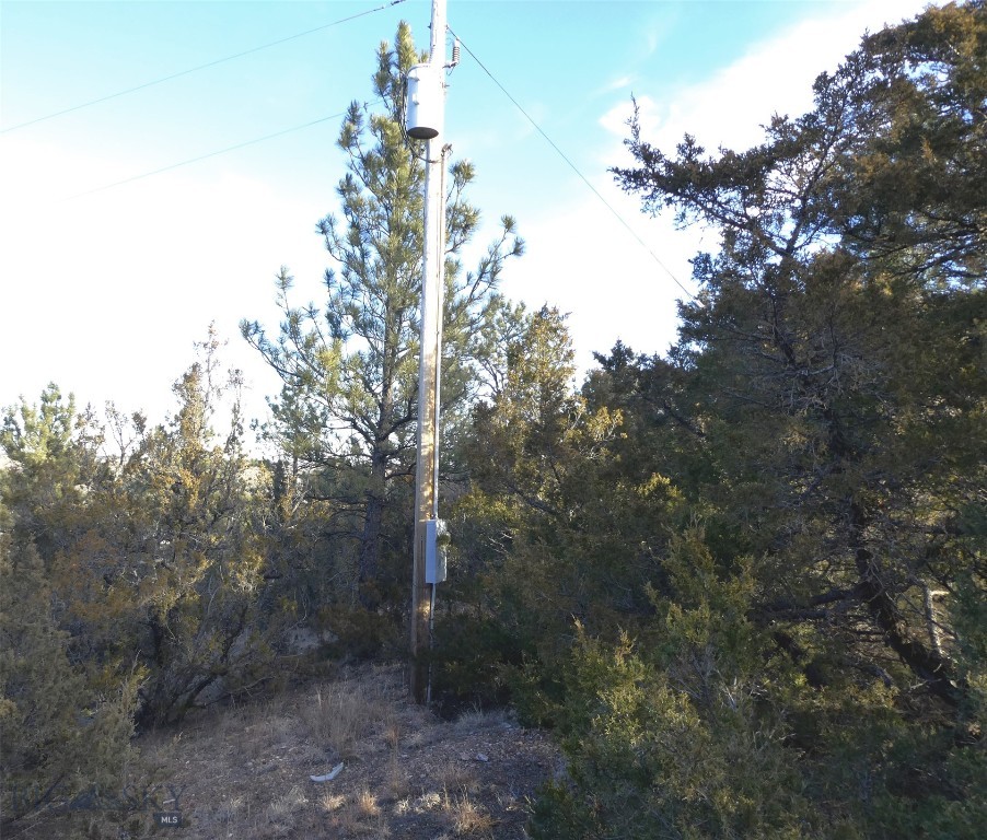 4829 Moon Creek Road, MT 59301