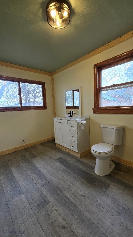 5 Front Street, Alder MT 59710