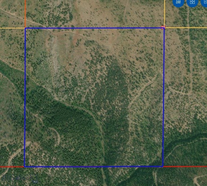 5 Tract, Garnet Range, Drummond MT 59832