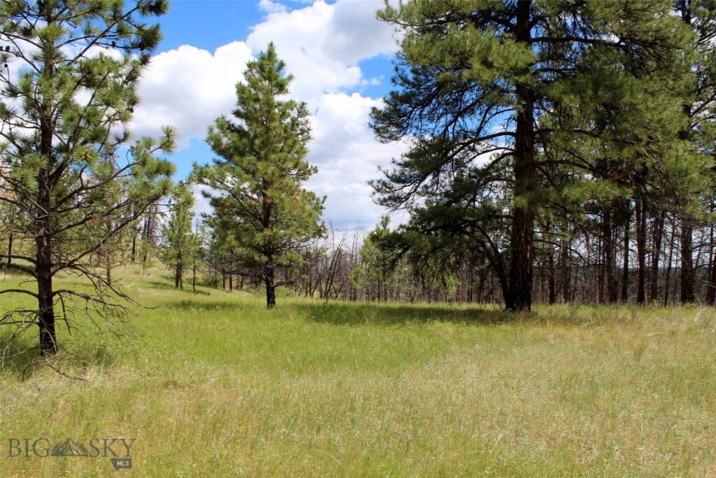 50 Lazy R Way, Roundup MT 59072