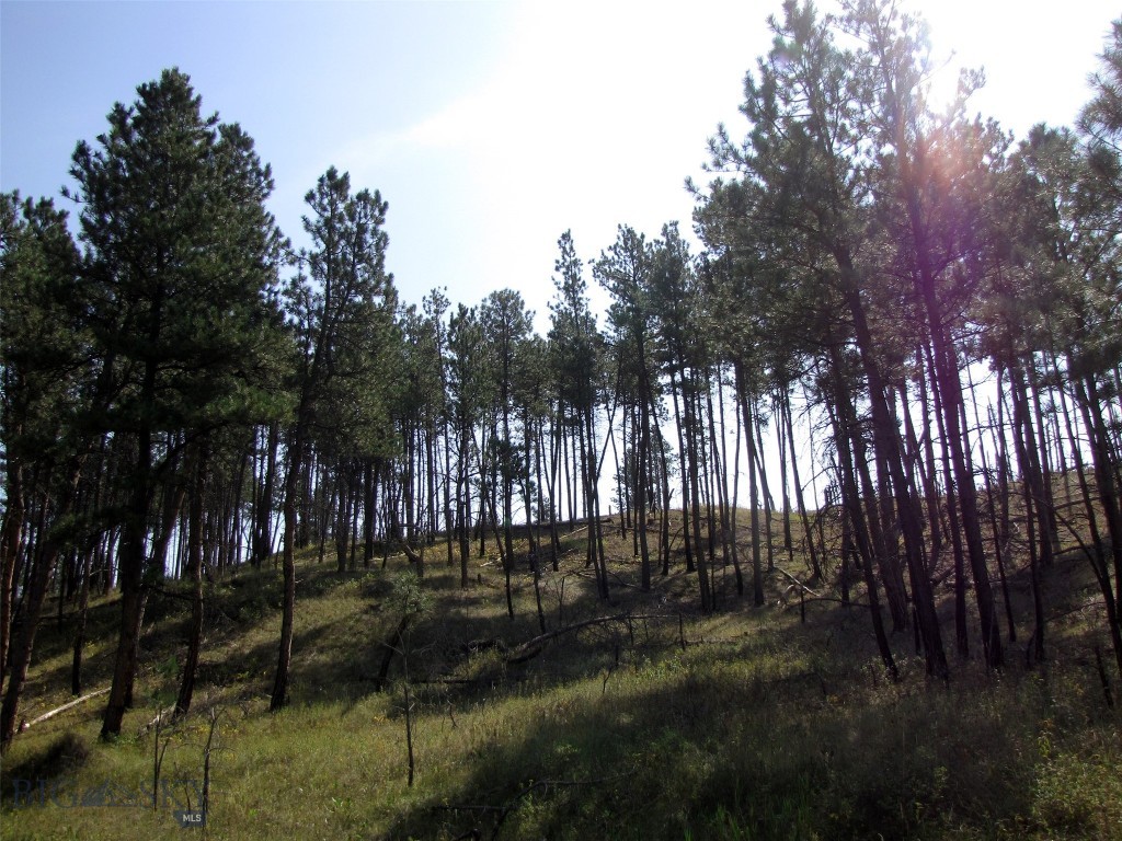 50 Lazy R Way, Roundup MT 59072