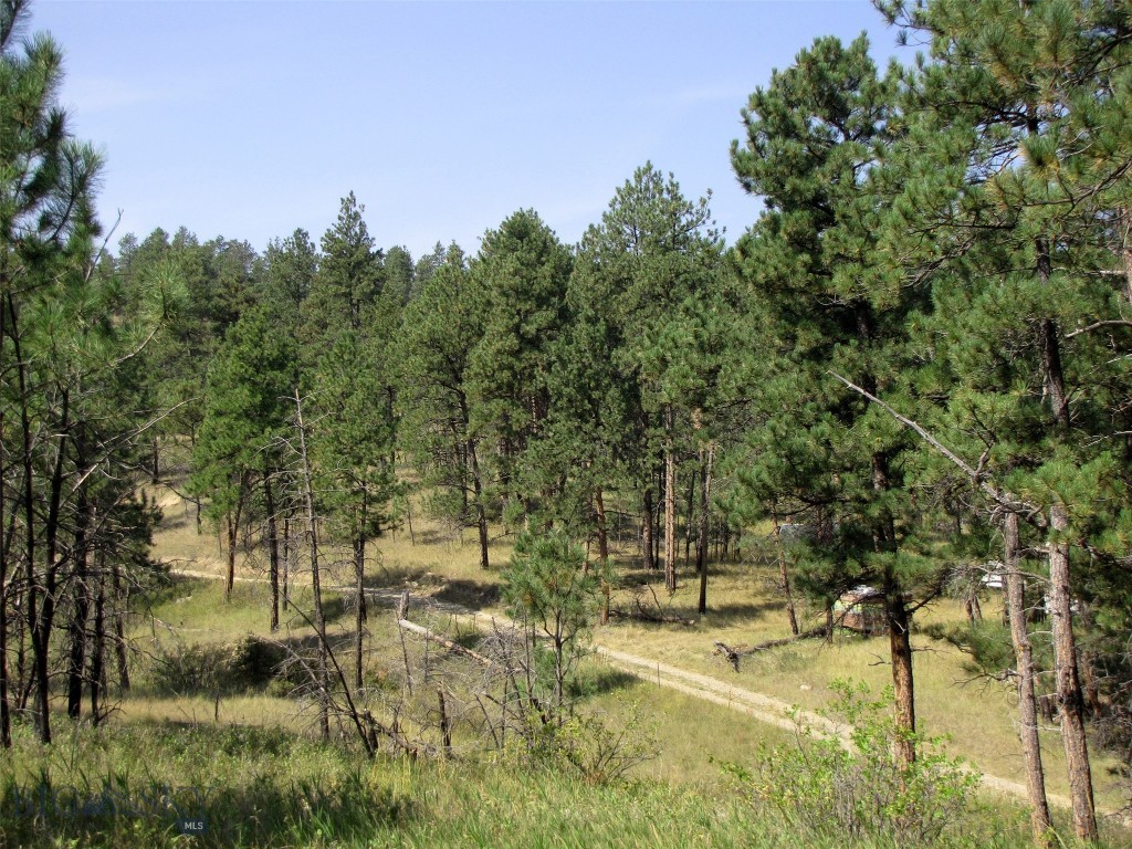 50 Lazy R Way, Roundup MT 59072