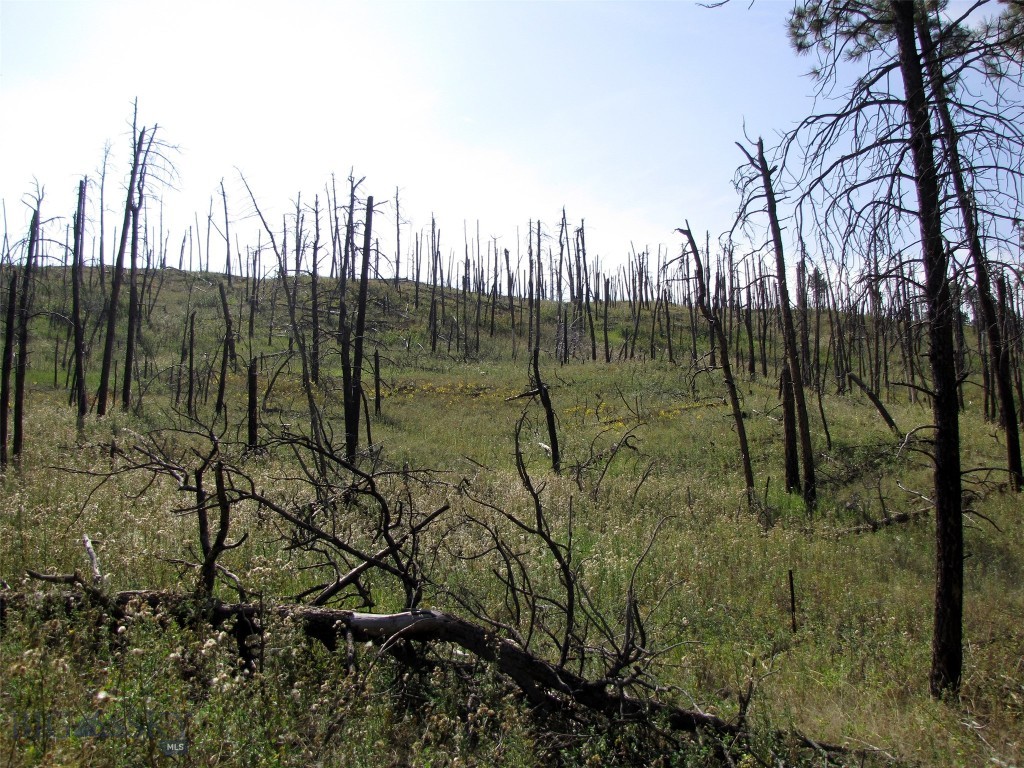 50 Lazy R Way, Roundup MT 59072