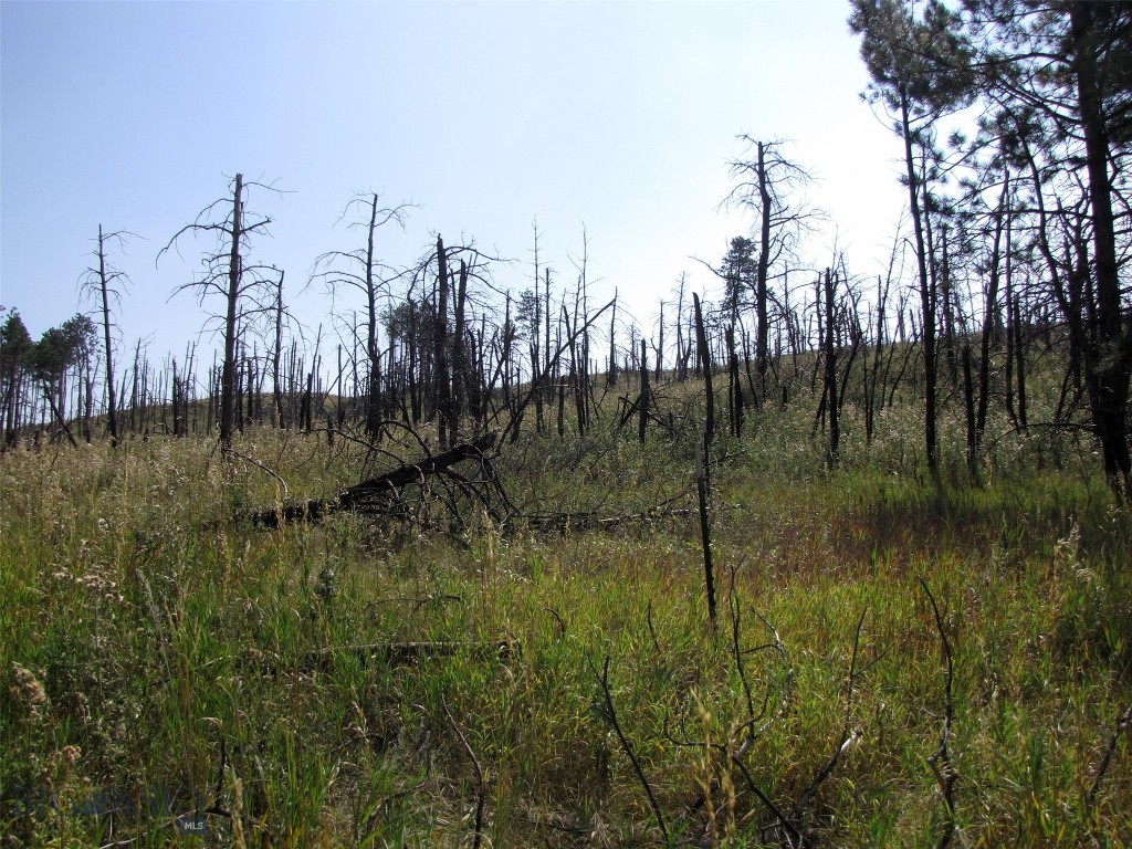 50 Lazy R Way, Roundup MT 59072