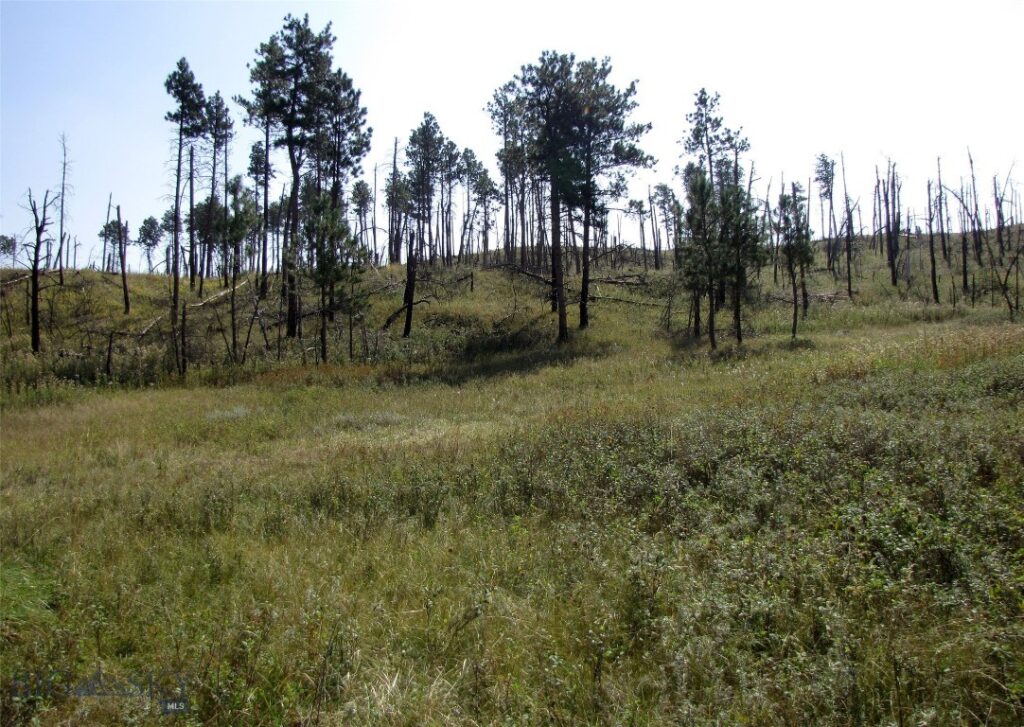 50 Lazy R Way, Roundup MT 59072