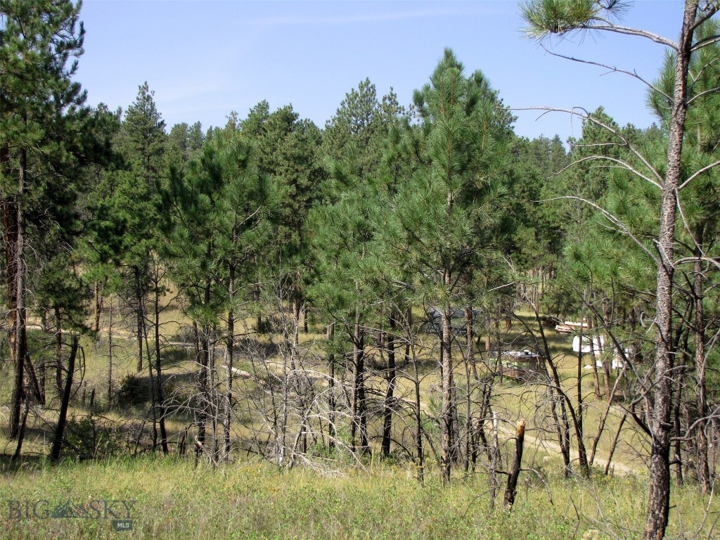 50 Lazy R Way, Roundup MT 59072