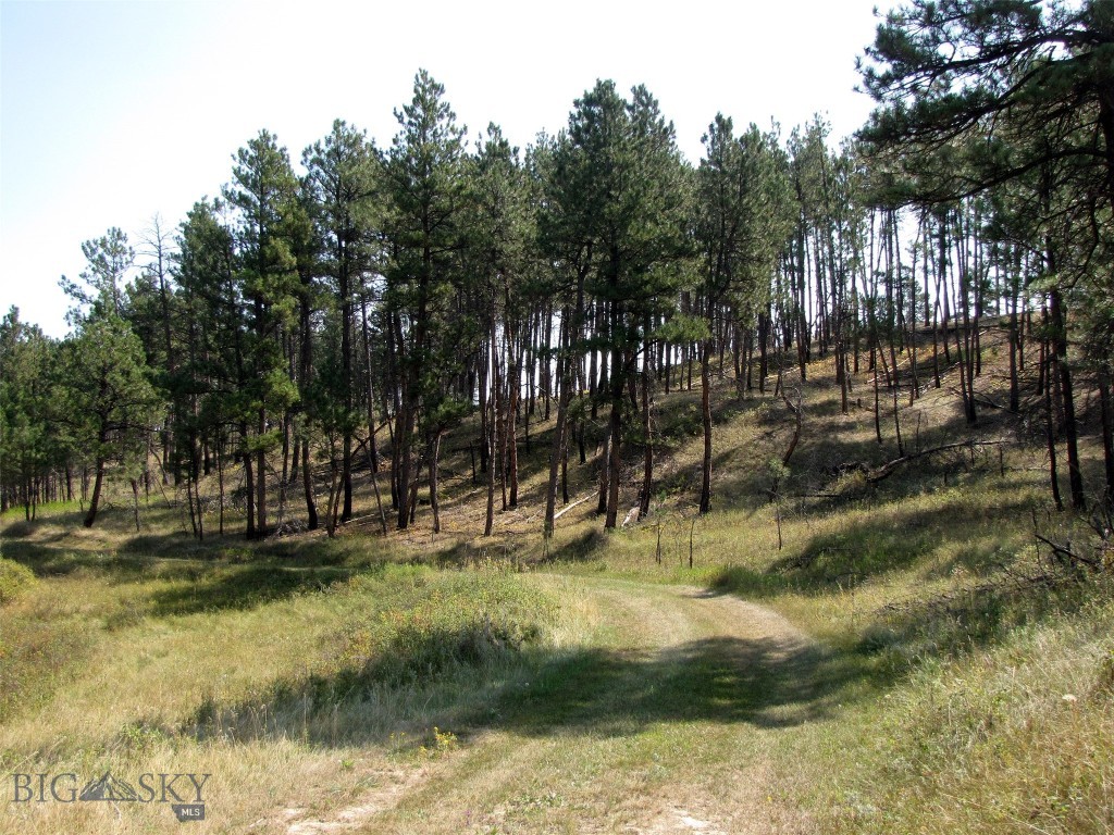 50 Lazy R Way, Roundup MT 59072