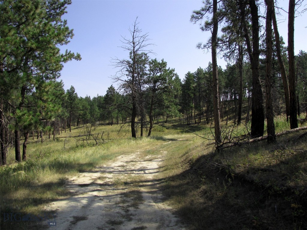 50 Lazy R Way, Roundup MT 59072