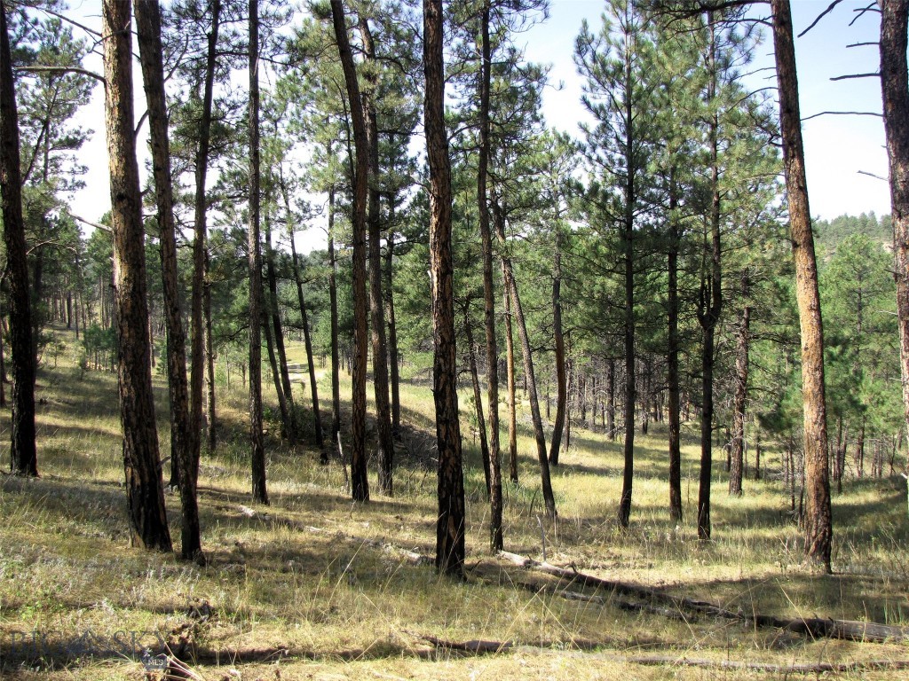 50 Lazy R Way, Roundup MT 59072