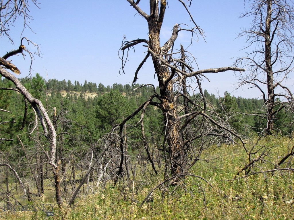 50 Lazy R Way, Roundup MT 59072