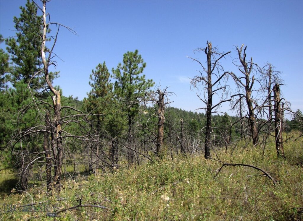 50 Lazy R Way, Roundup MT 59072