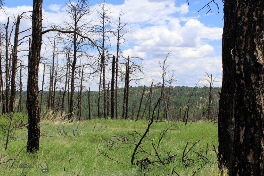 50 Lazy R Way, Roundup MT 59072