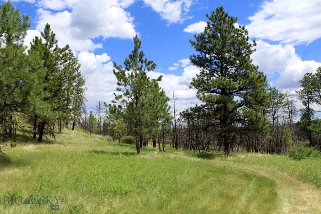 50 Lazy R Way, Roundup MT 59072