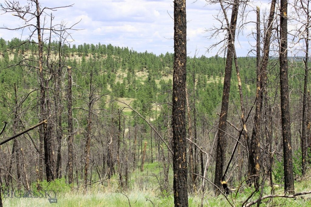 50 Lazy R Way, Roundup MT 59072