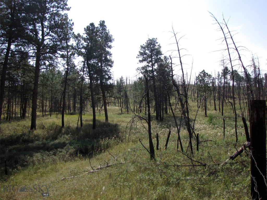 50 Lazy R Way, Roundup MT 59072