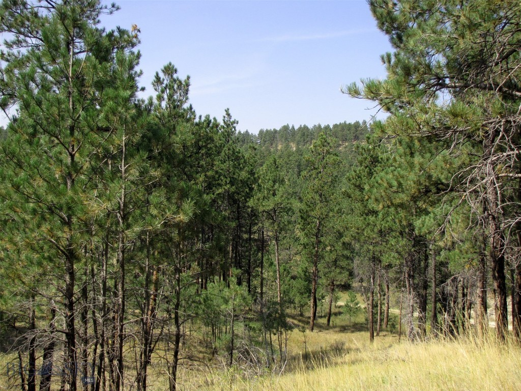 50 Lazy R Way, Roundup MT 59072