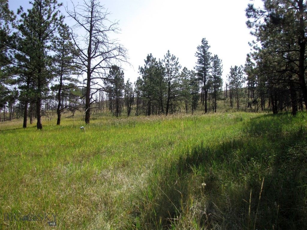 50 Lazy R Way, Roundup MT 59072