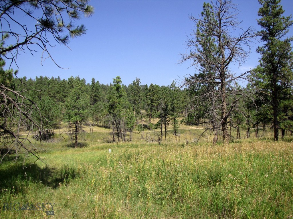 50 Lazy R Way, Roundup MT 59072